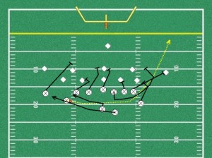 Shotgun Fly Sweep